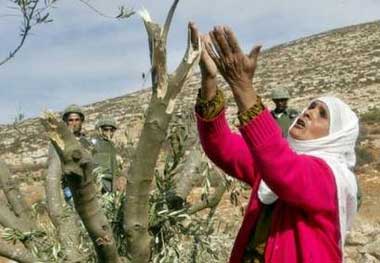 نقره لتكبير أو تصغير الصورة ونقرتين لعرض الصورة في صفحة مستقلة بحجمها الطبيعي