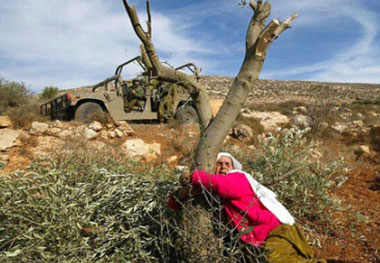 نقره لتكبير أو تصغير الصورة ونقرتين لعرض الصورة في صفحة مستقلة بحجمها الطبيعي